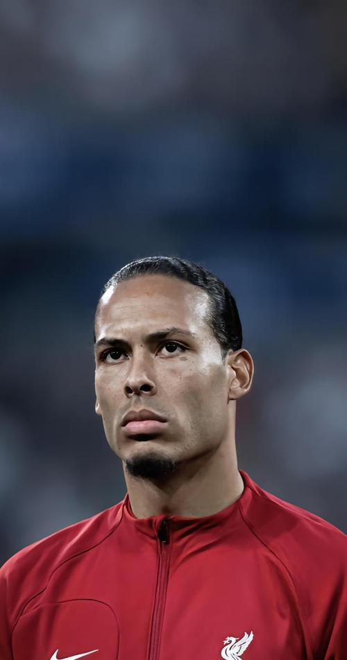 克罗地亚逆转土耳其，范戴克高光表现的简单介绍