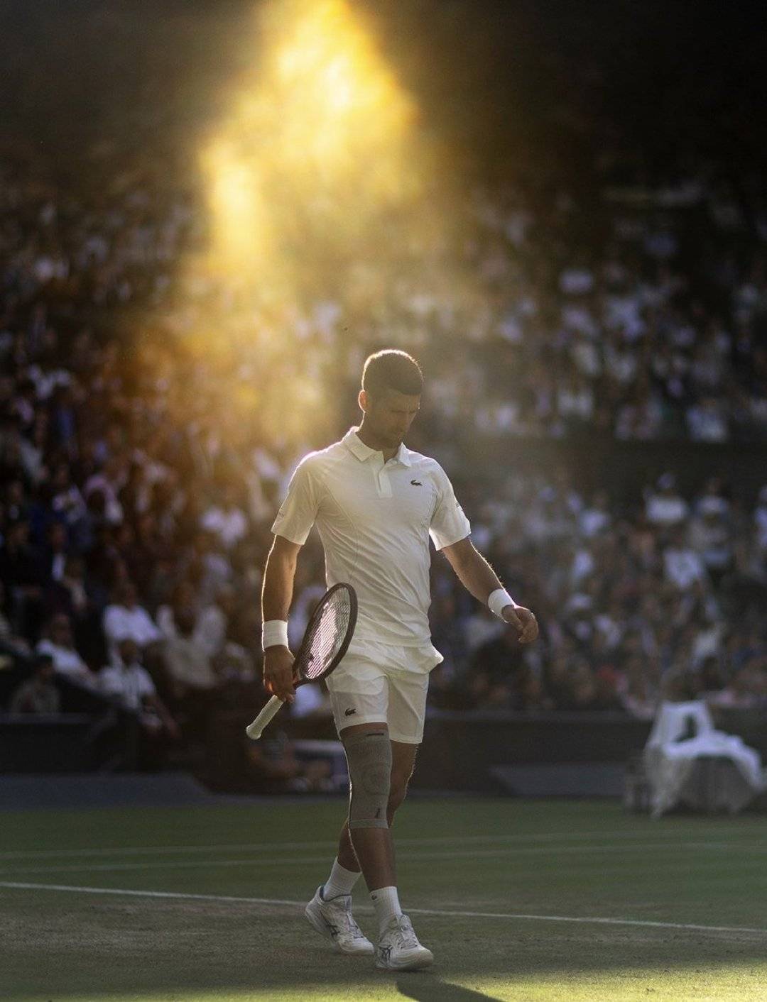 拉沃尔杯轻取澳网,德约科维奇刷新纪录 拉沃尔杯轻取澳网,德约科维奇刷新纪录