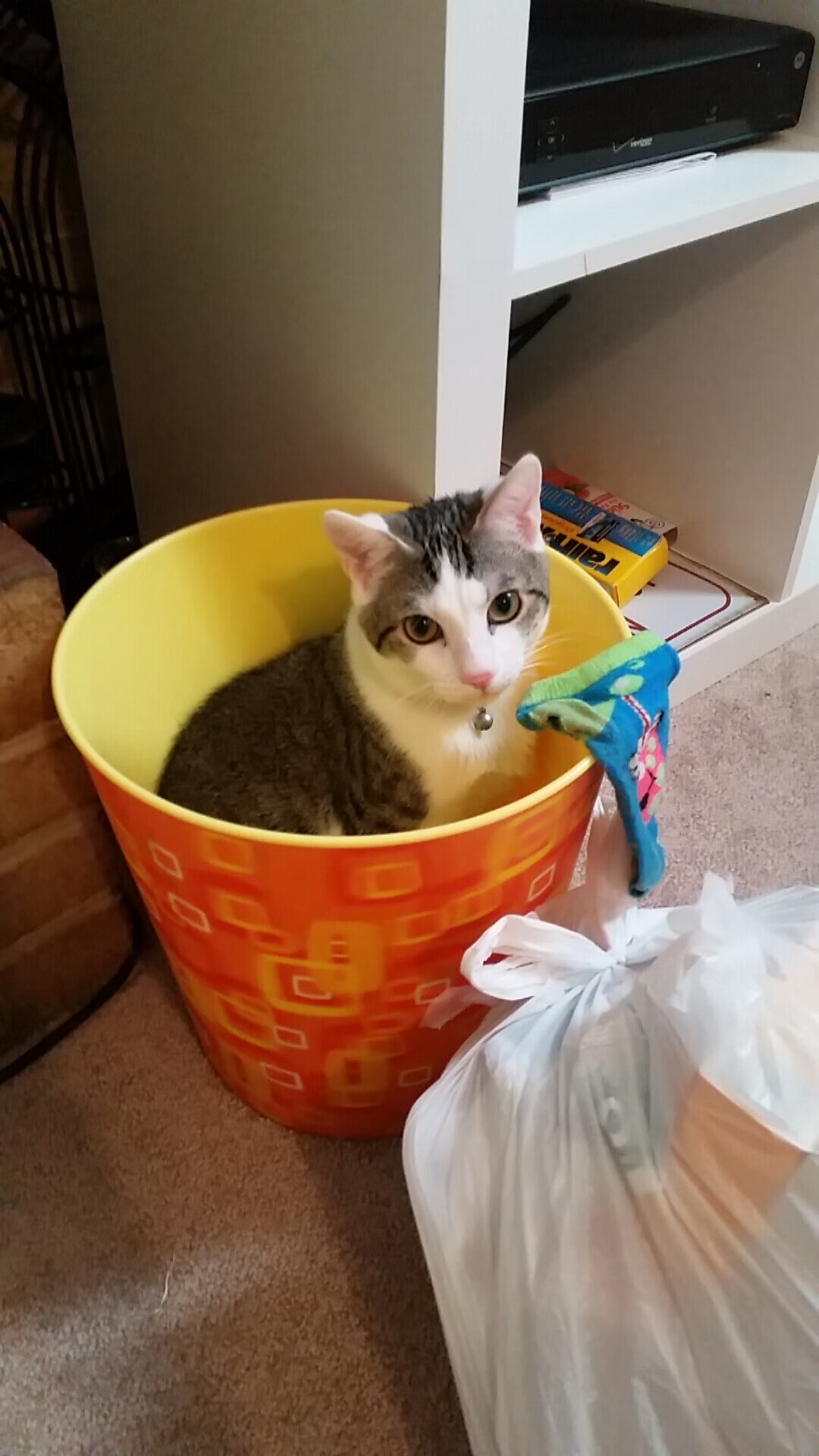 雷火电竞网址-当闪电撕破都灵夜幕，奥亚尔萨瓦尔用一粒唯一性进球完成自我正名