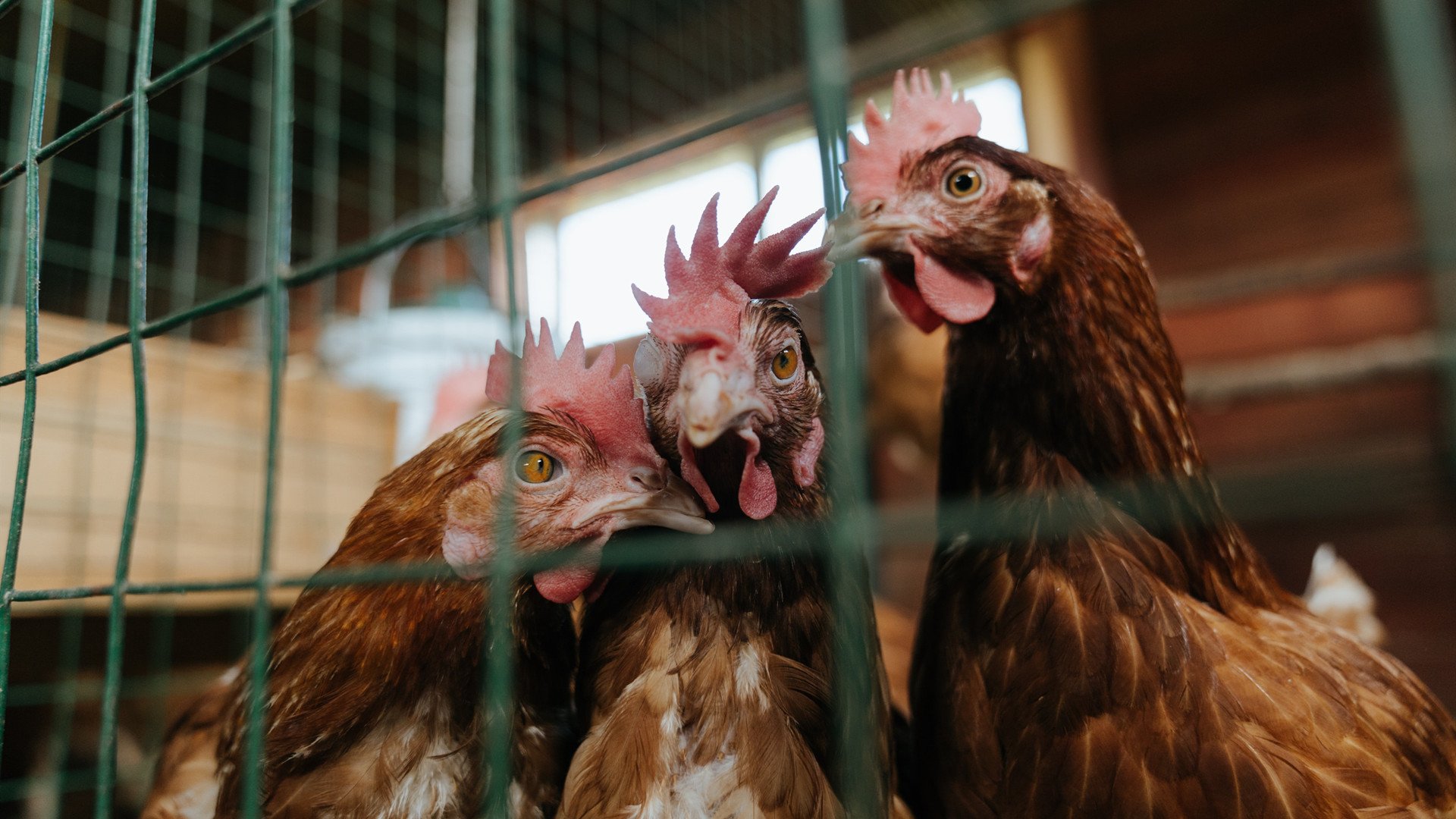 资本新秩序！沙特联赛如何用一场技术扶贫完成对欧洲足球的逆袭