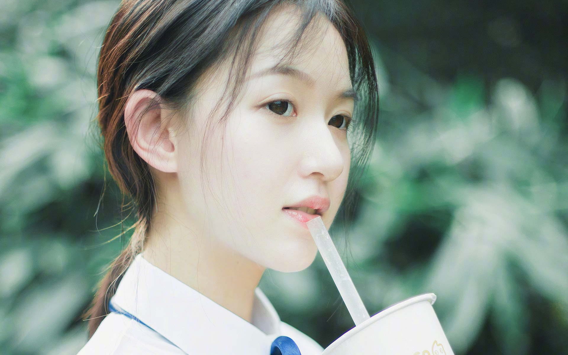 赫尔辛基的盾与矛，芬兰用冰封防线锁死德国，伊布在风雪中点燃火炬