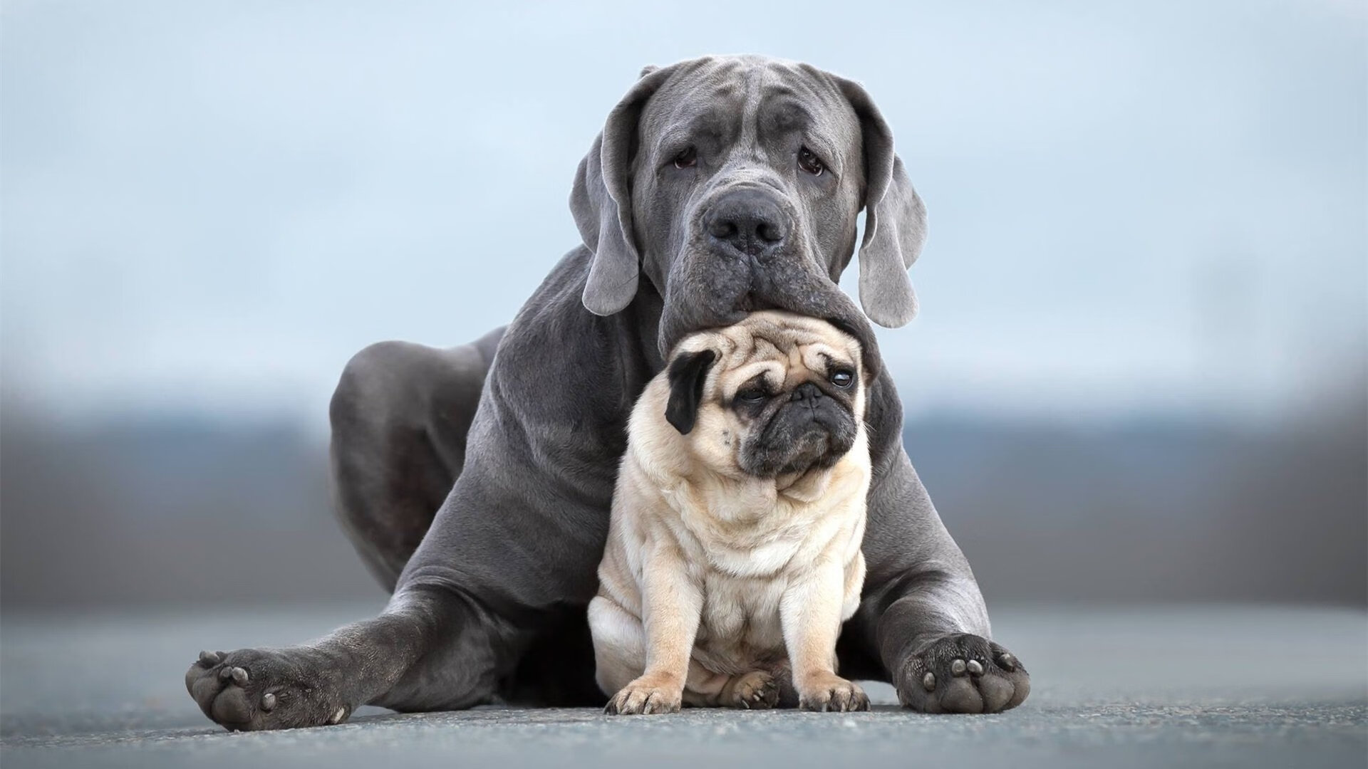 时间驯服者，莫德里奇如何让2026世界杯之夜归于自己的节拍