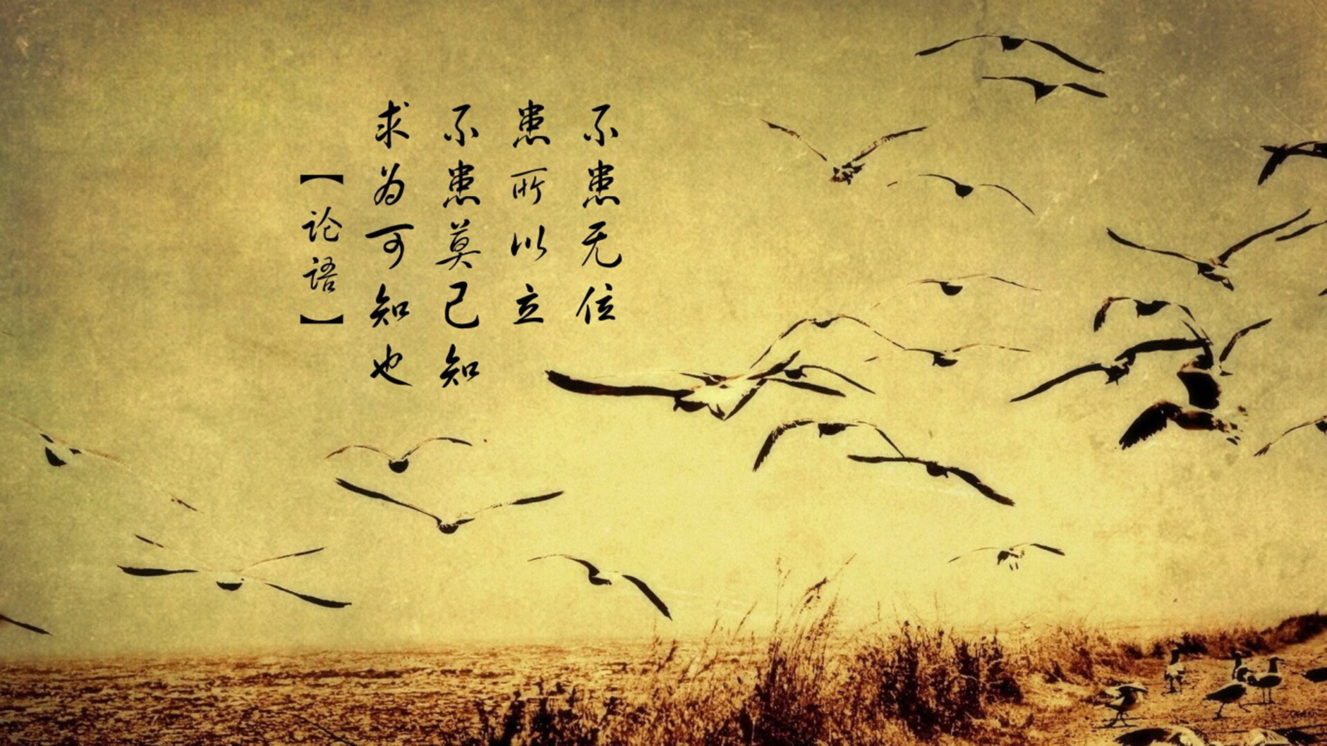 当奥地利闪电战横扫北非，唯有阿尔瓦雷斯才是大场面先生唯一的答案