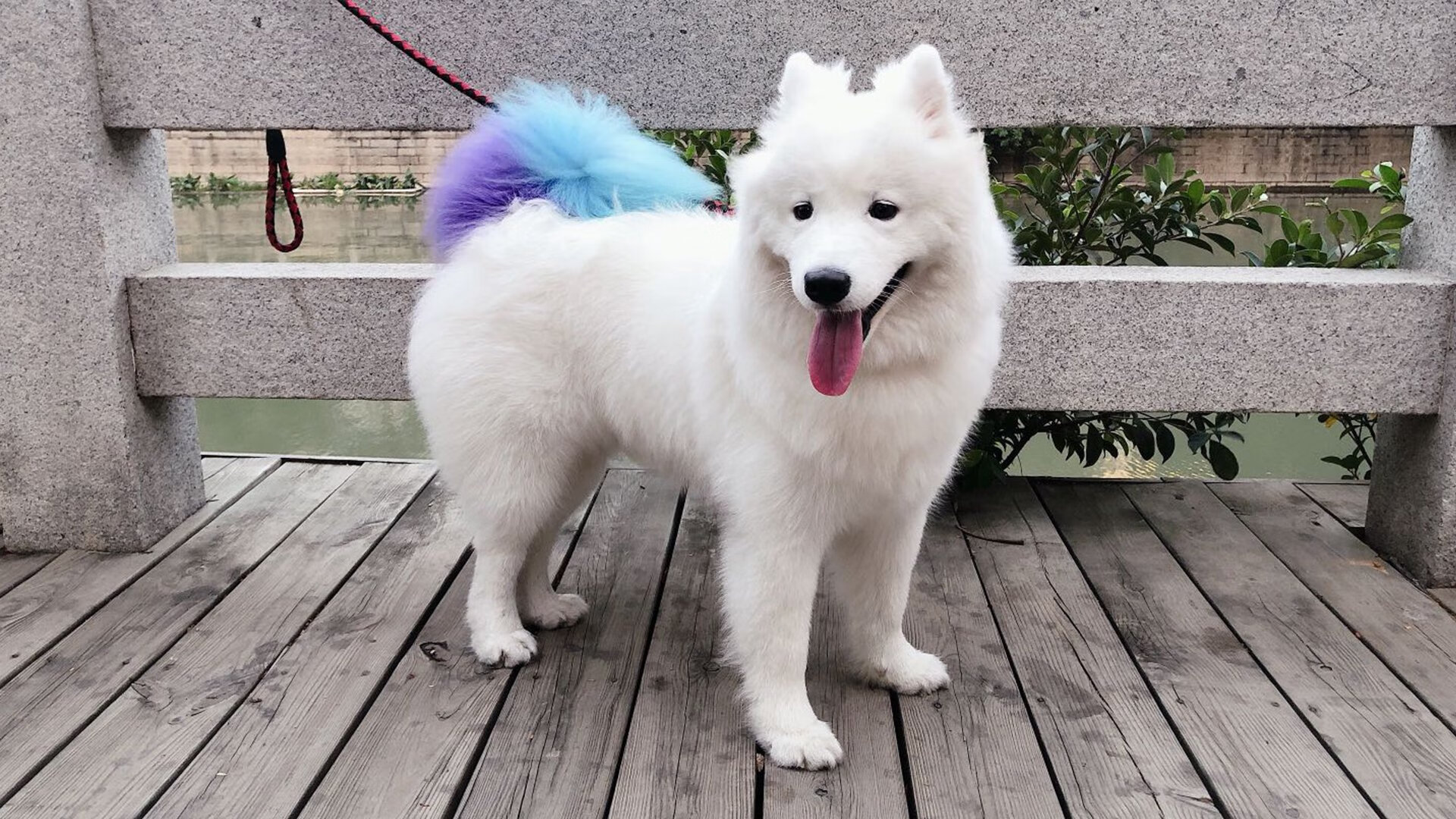 双城记,当毕尔巴鄂终结悬念,弗拉霍维奇接管生死—竞技之魂的南北交响