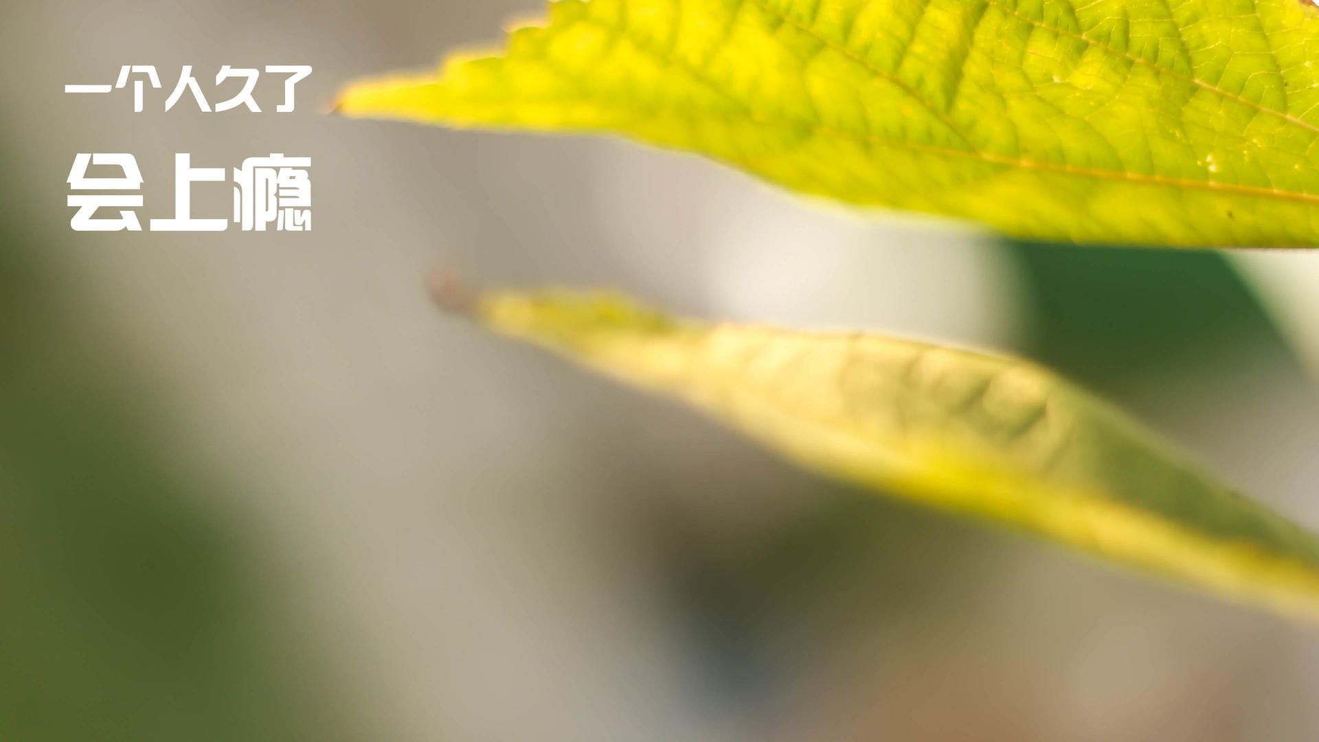 一场不存在的胜利，当基耶萨穿上克罗地亚战袍