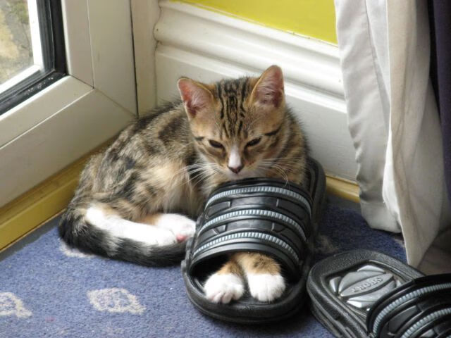 辽篮带走七十六分，伦纳德三记封喉定江山