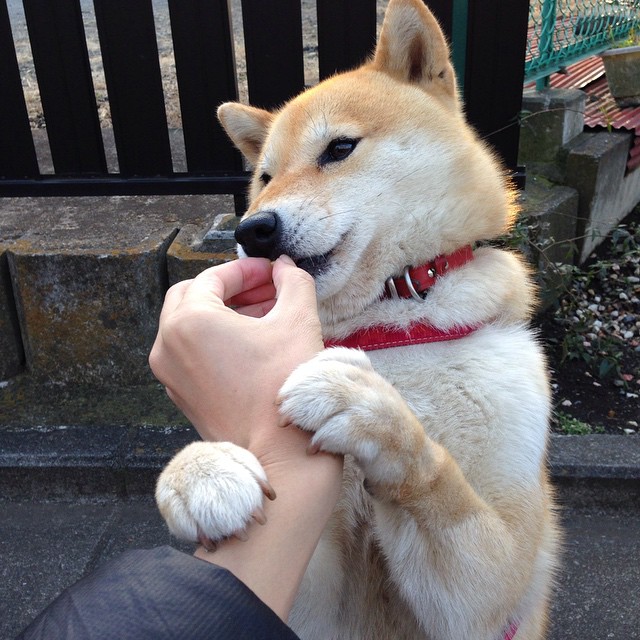 赤道与雪国的足球对话,阿拉巴用一场非典型友谊赛写下防守教科书