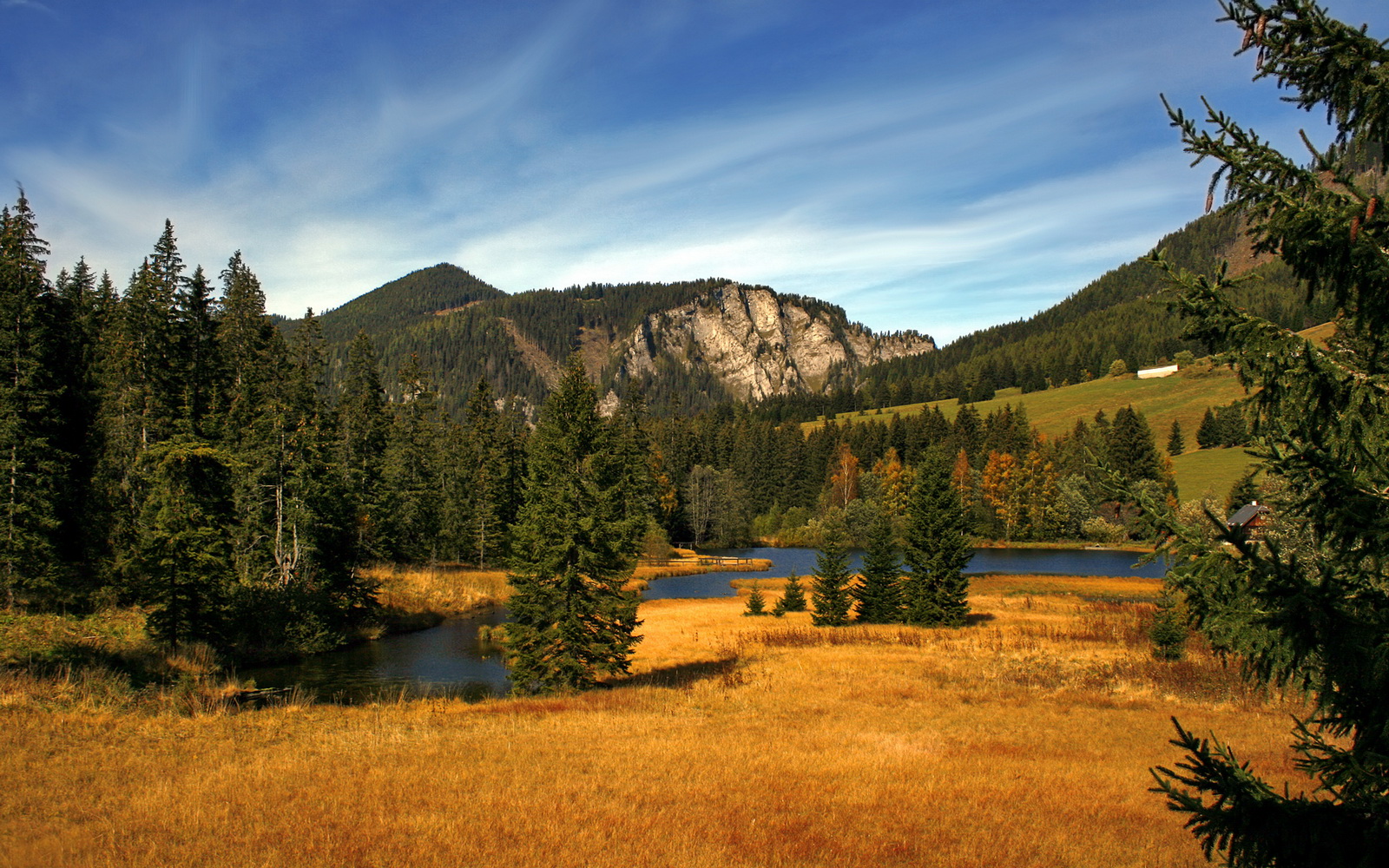 世界排名争夺战之夜,帕尔默在绝境中的自我救赎