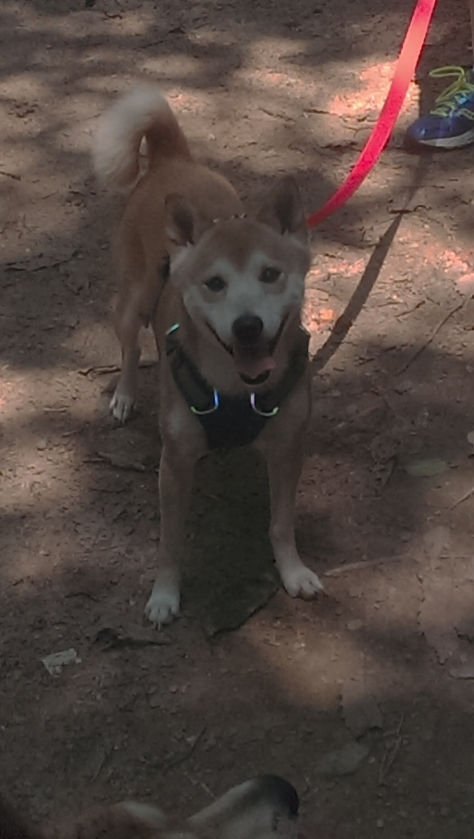 雷火电竞下载-风城新王诞生！德文·布克决胜时刻撞翻勇士王朝