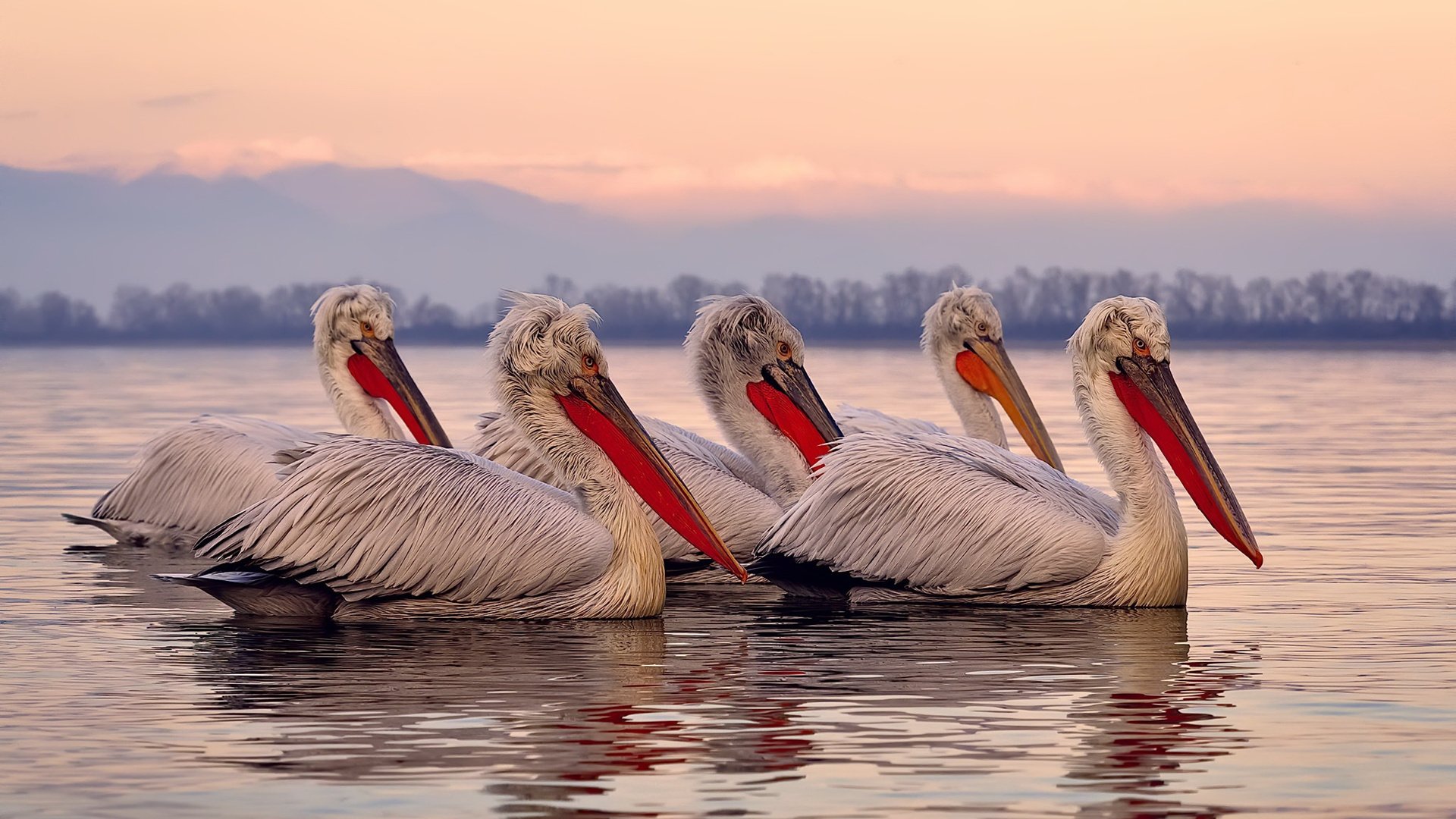 以下是基于此构思的文章标题与正文