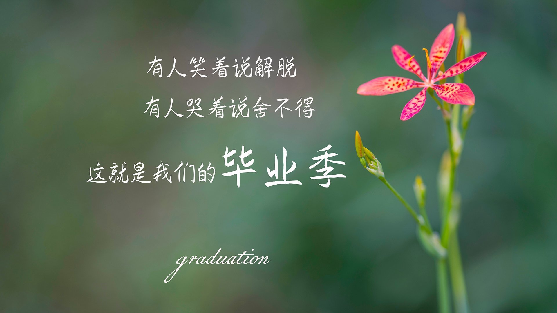 北境风暴，吉林铁蹄踏碎魔术幻境，东决舞台上最狂野的独白