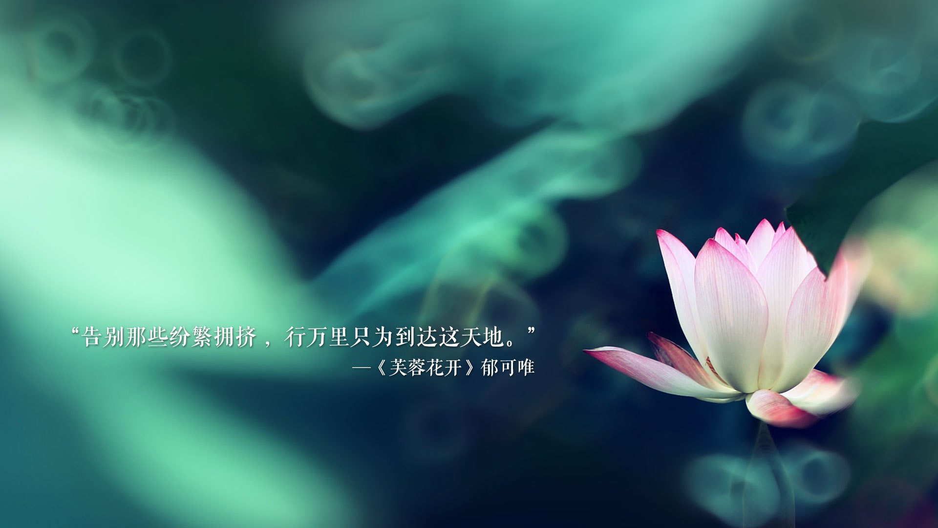 逆转之夜，2026世界杯四分之一决赛，法国绝地反击，C罗领衔演绎默契传奇