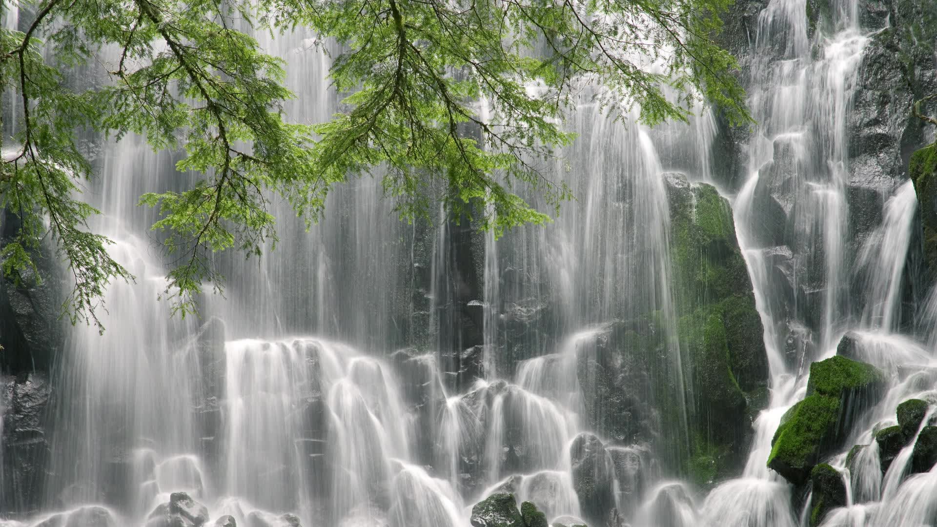 沙漠风暴中的红莲，2026世界杯H组，印度足球的史诗级逆袭与阿方索的致命一击