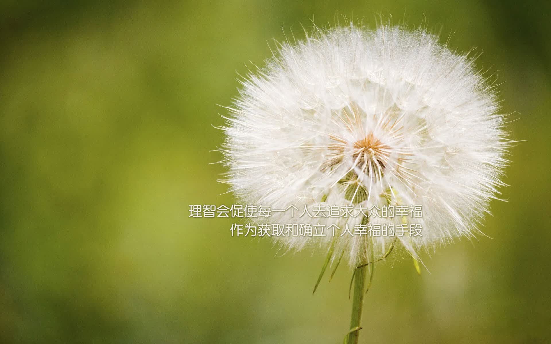 基多之巅的冰与火，当哈兰德刺穿桑巴防线，厄瓜多尔在安第斯之巅改写足球编年史